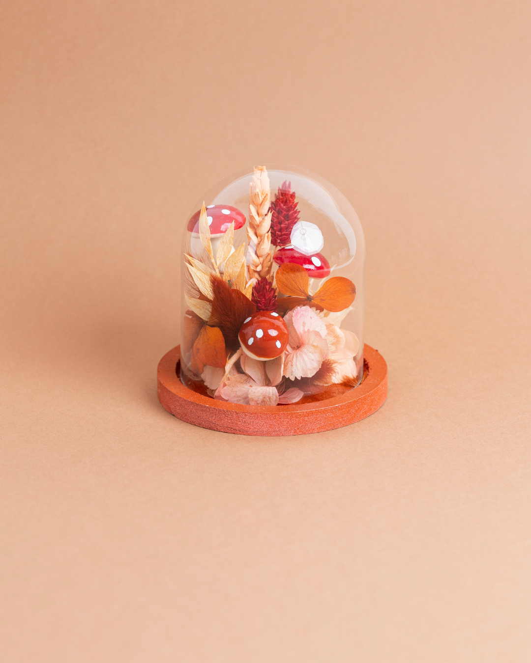 KIT DIY Cloche Champignon 🍄