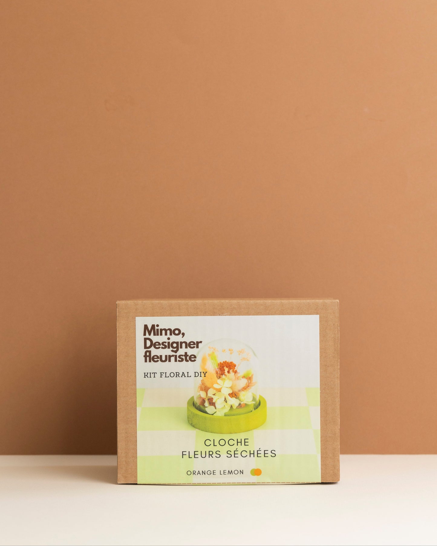 KIT DIY Cloche Orange Lemon