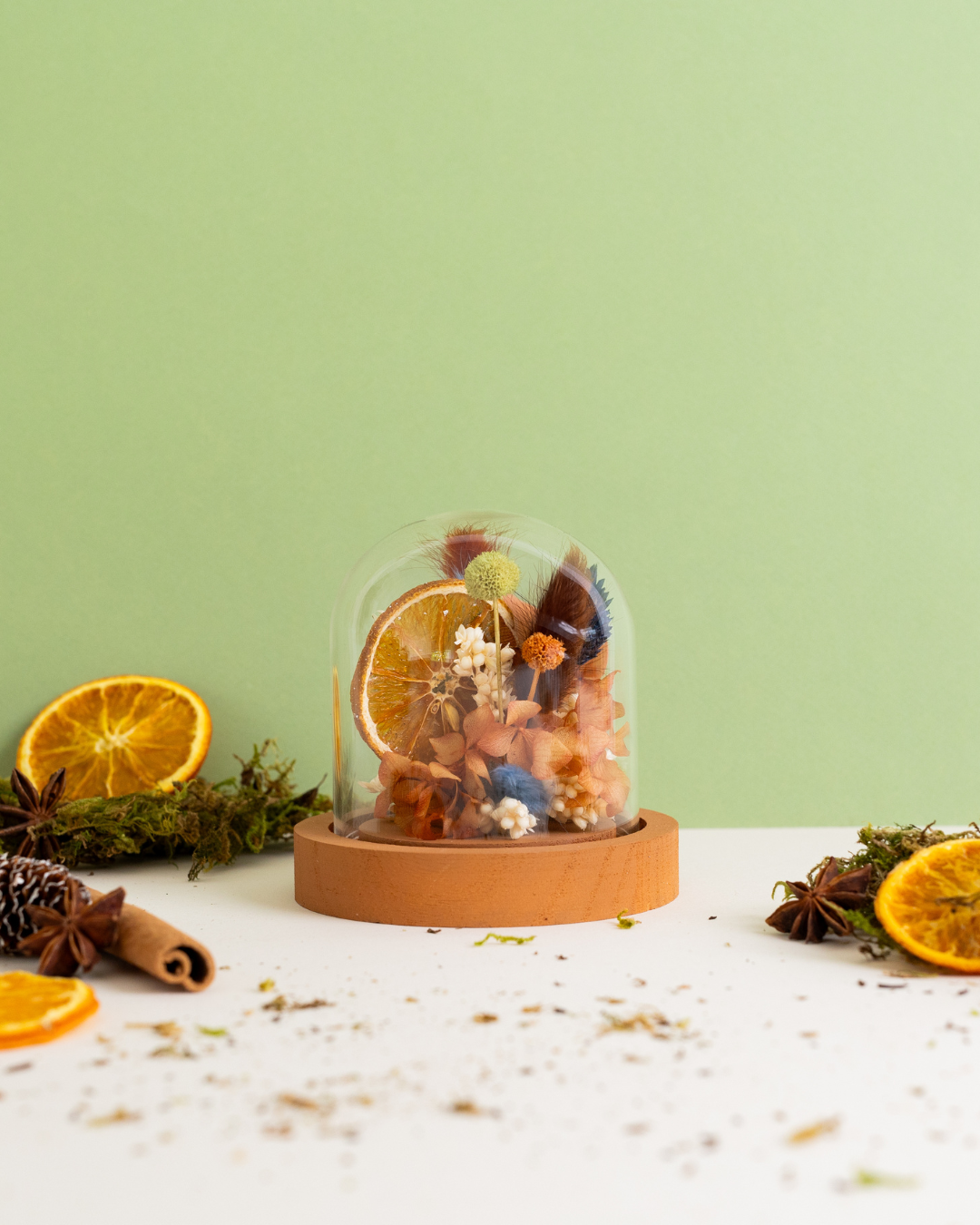 KIT DIY Cloche Oranges Boisées
