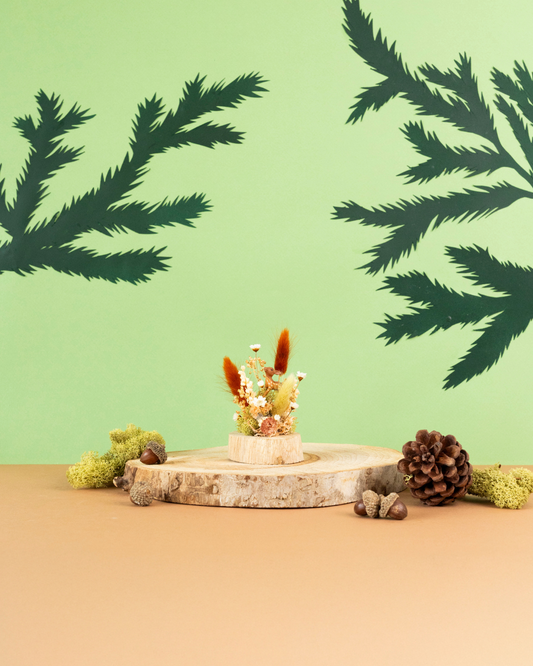 KIT DIY Mignonnerie Forêt