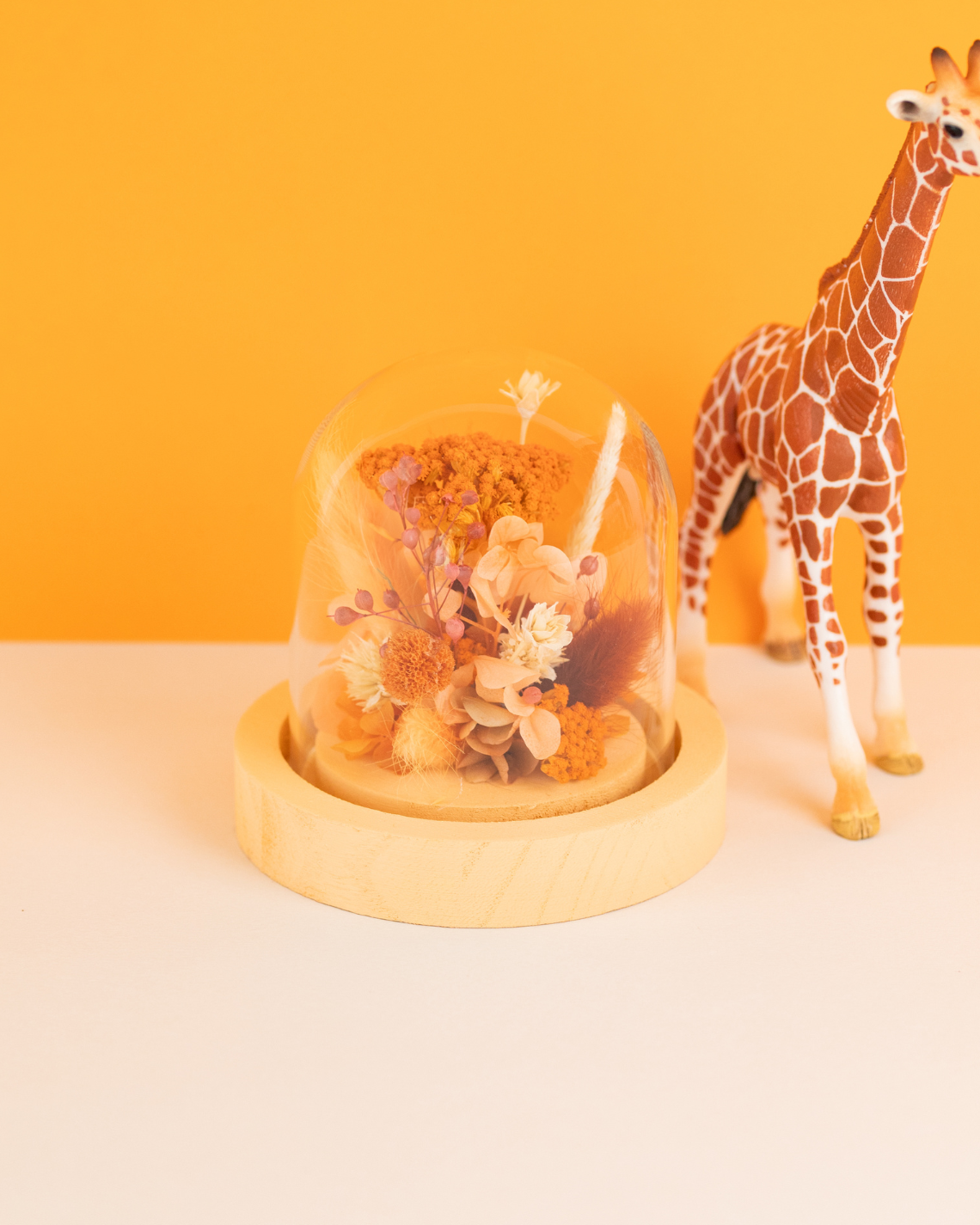 KIT DIY Cloche Savane
