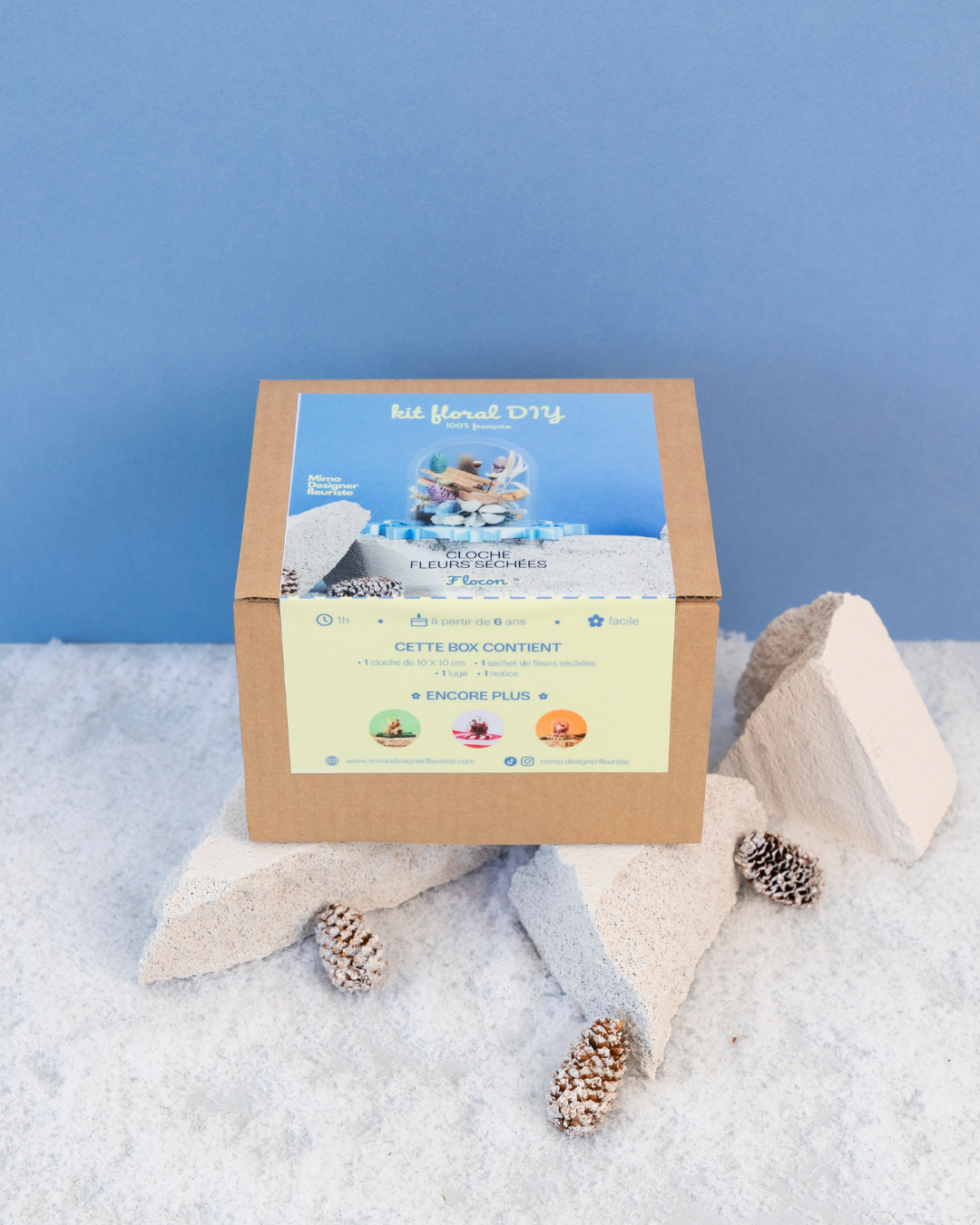 KIT DIY Cloche Flocon