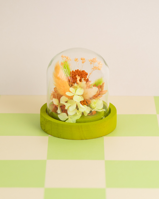 KIT DIY Cloche Orange Lemon