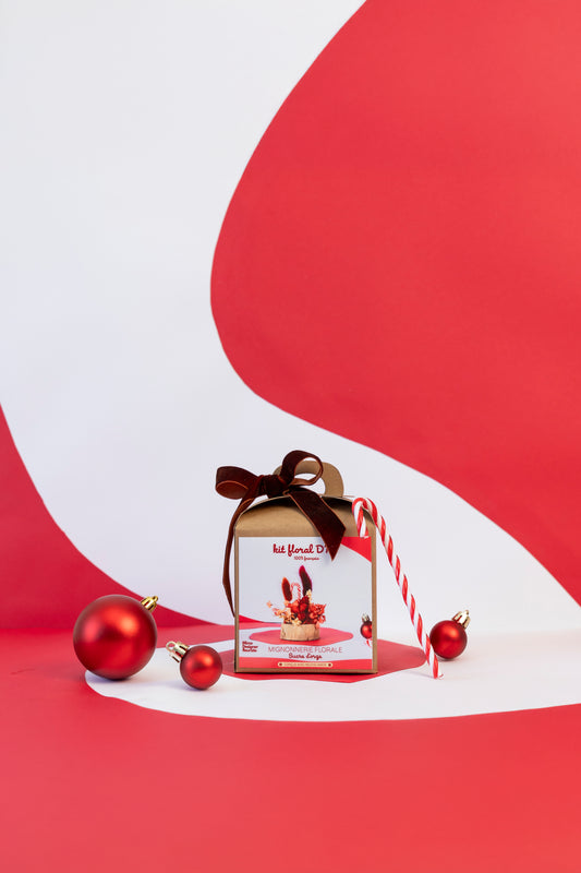 KIT DIY Mignonnerie Sucre d'Orge