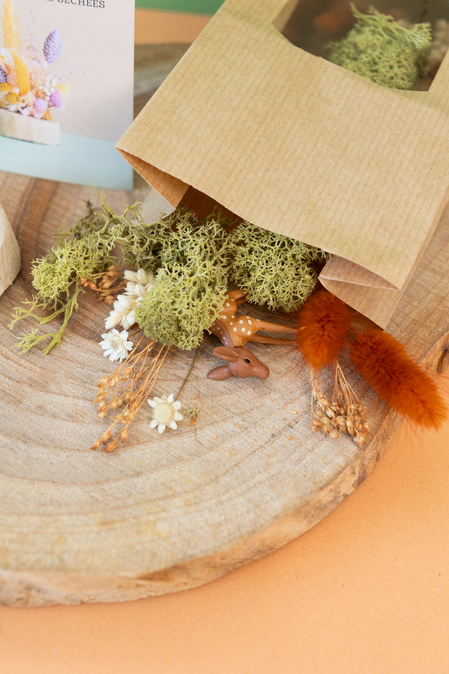 KIT DIY Mignonnerie Forêt