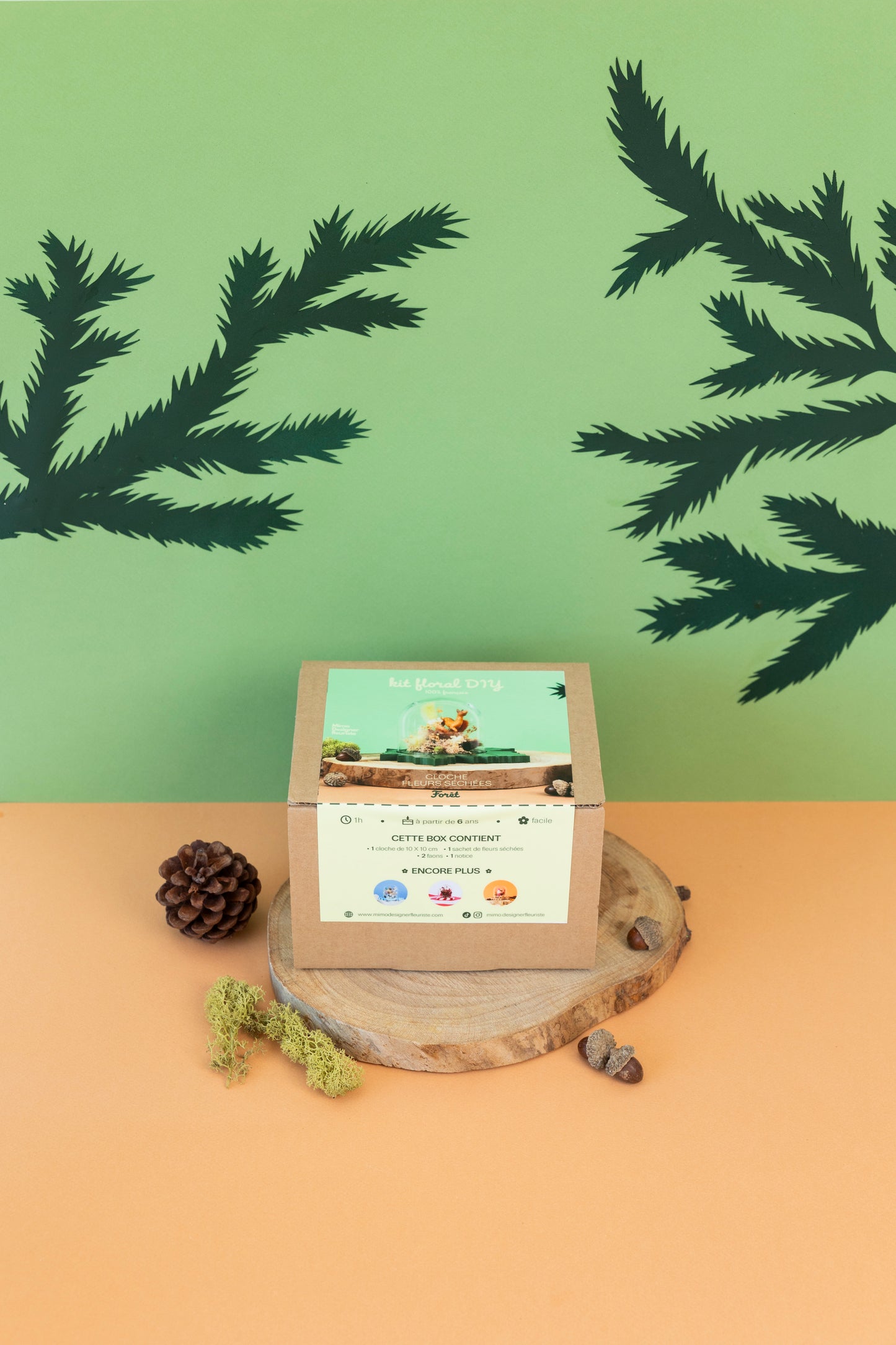 KIT DIY Cloche Forêt